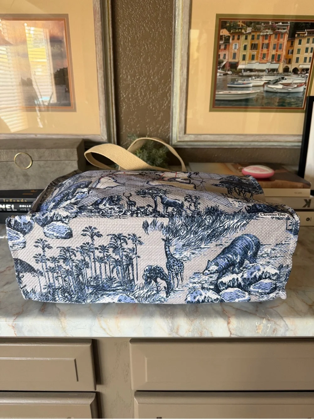 Dior Around The World Tote Bag - Picture 3 of 7